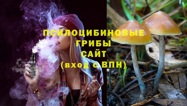 гидропоника Абдулино