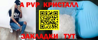 СК Краснодар