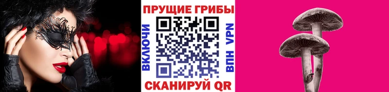 кракен вход  Троицк  Псилоцибиновые грибы прущие грибы 