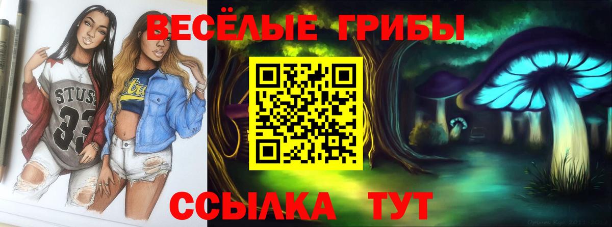 Псилоцибиновые грибы MAGIC MUSHROOMS Троицк
