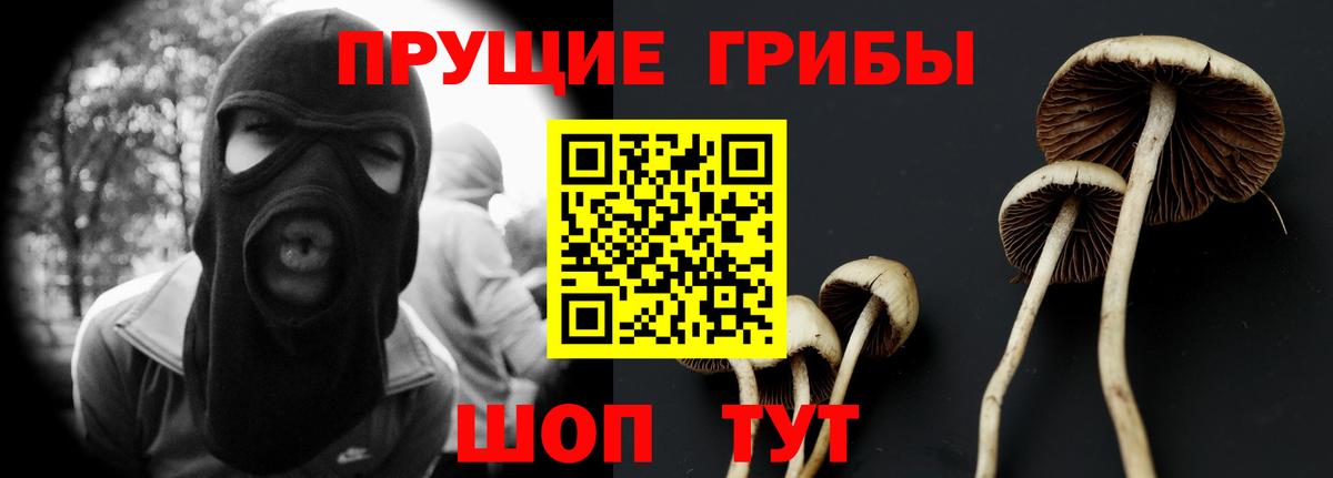 Галлюциногенные грибы мицелий  Вход с VPN  Псилоцибиновые грибы MAGIC MUSHROOMS  Троицк 